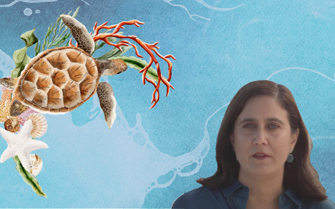 Sharon Herzka Llona: el reto de estudiar los mares mexicanos