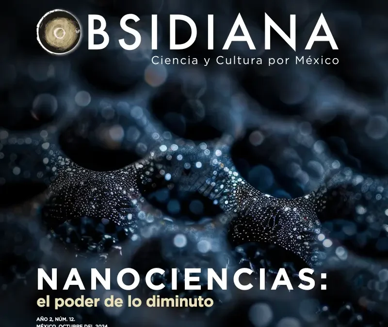 No. 12 Nanociencias: el poder de lo diminuto