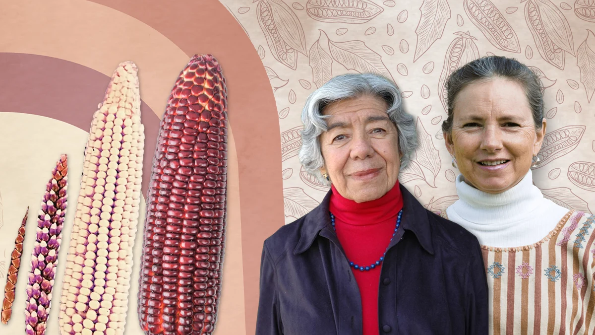 Científicas detrás de la conservación y mejora del maíz